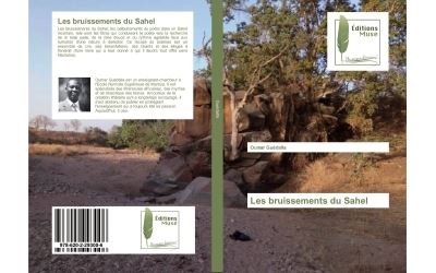 Les bruissements du sahel
