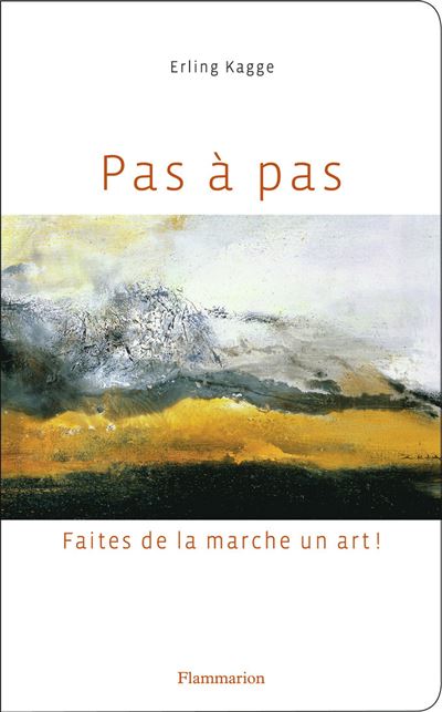 Pas à pas - Erling Kagge - broché