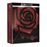 V pour Vendetta - Édition Titans of Cult - SteelBook 4K Ultra HD + Blu-ray + goodies