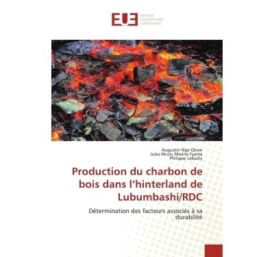 Production du charbon de bois dans l'hinterland de Lubumbashi/RDC