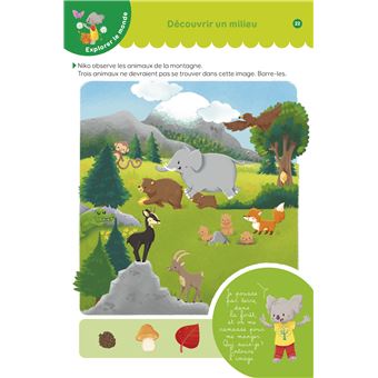 Les jeux de vacances Nature