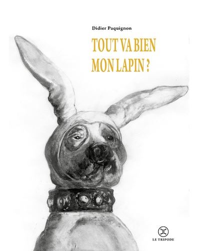 Tout va bien mon lapin ? - Didier Paquignon - broché