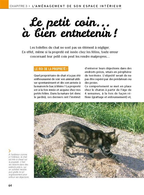 Un Chat Heureux En Appartement 100 Trucs Pour Le Rendre Heureux Broche Laetitia Barlerin Achat Livre Fnac