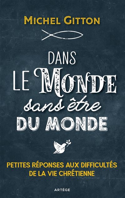 Dans le monde sans etre du monde petites reponses aux diffic