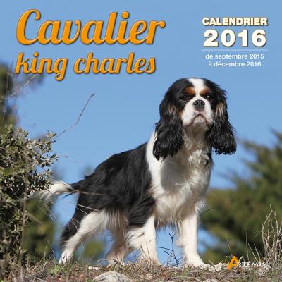 Calendrier 2016 Cavalier King Charles