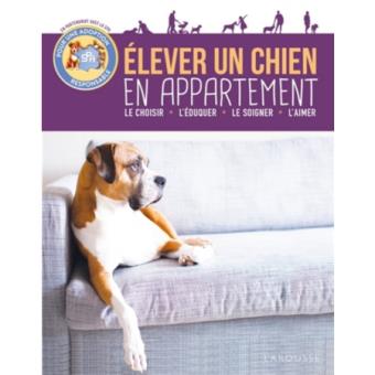 Élever un chien en appartement - 1