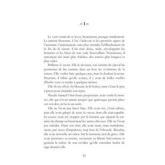 Brillante, une jument pour deux destins