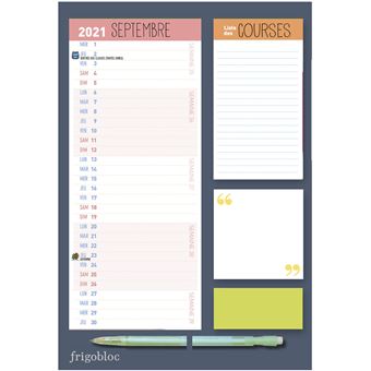 Mini Frigobloc - Le calendrier mensuel de Play Bac - Grand Format -  Livre - Decitre