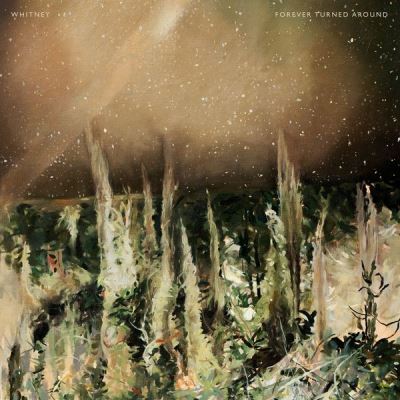 Forever Turned Around Vinyle marron