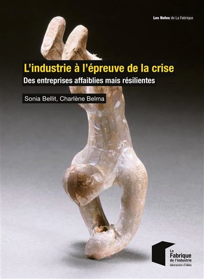L'industrie à l'épreuve de la crise - Sonia Bellit - Presses Des Mines - broché - Guide