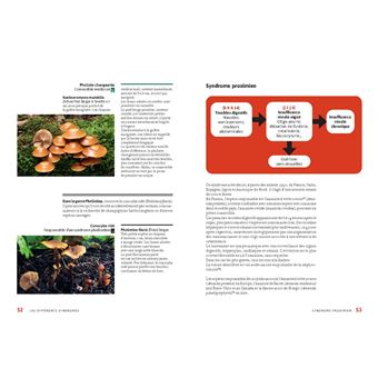 Champignons toxiques