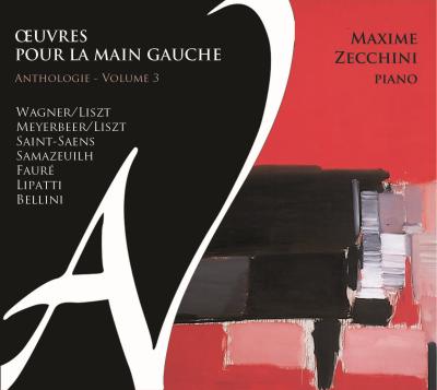 Oeuvres pour la main gauche volume 3