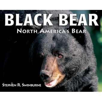 Black Bear - 1