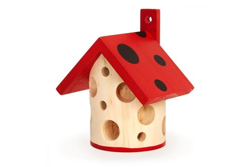 LADYBUG HOUSE