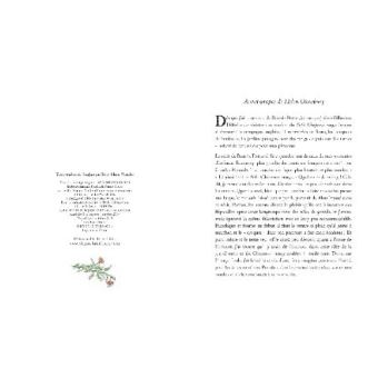 Le petit chaperon rouge