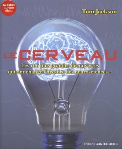 Le cerveau