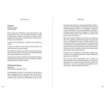 L'esprit des mots - Dictionnaire subjectif, parce que les mots ont un sens singulier pour chacun de