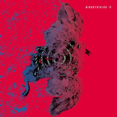 Birdstriking Clear vinyl + face de dessin gravé