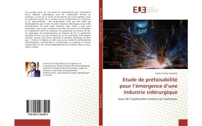 Etude de prefaisabilite pour l'emergence d'une industrie sid