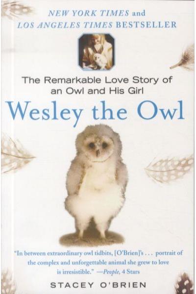 Wesley the owl