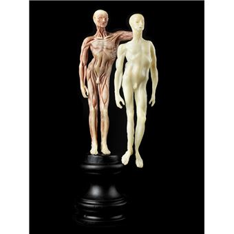 Céroplastie, corps immortalisés