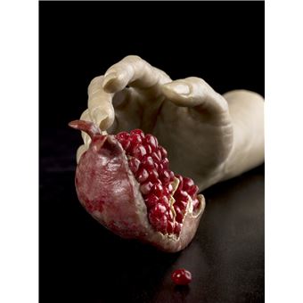 Céroplastie, corps immortalisés