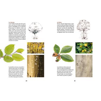 Faire son bois de chauffage sans pétrole