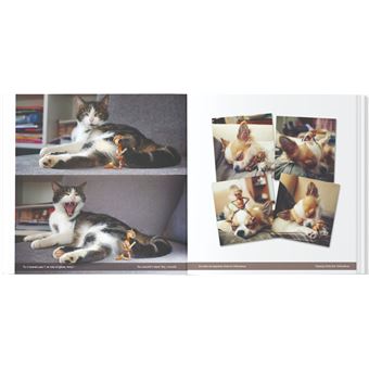 Le Peuple des chênes : Les adorables créatures de Petr Vàclavek - Acorn Elves : The lovely creatures