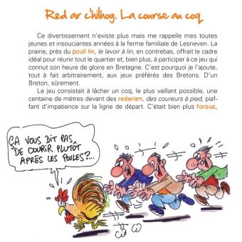 LES BRETONNISMES  A vous de jouer ! (Tome 3)