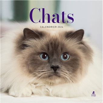 Calendrier chats 2024 - Dernier livre de Collectif - Précommande & date