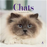 Chatons - calendrier 2024 - Martin Sellier