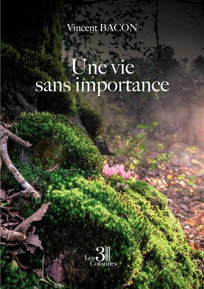 Une vie sans importance - Vincent Bacon - broché
