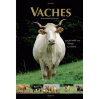 Vaches