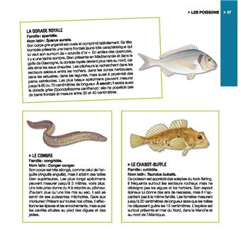 Coaching pêche en mer