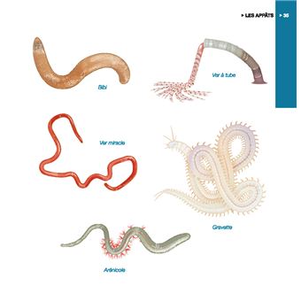 Coaching pêche en mer