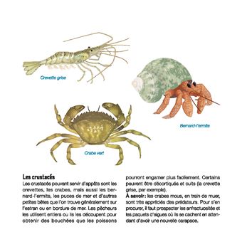 Coaching pêche en mer