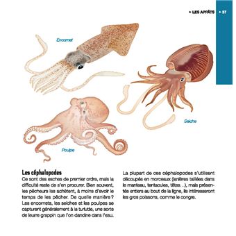 Coaching pêche en mer