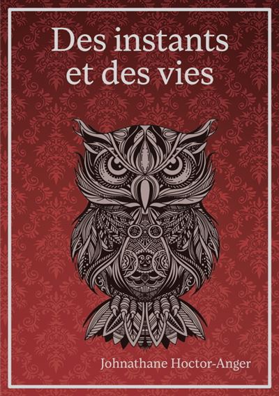 Des instants et des vies - Johnathane Hoctor-Anger - broché