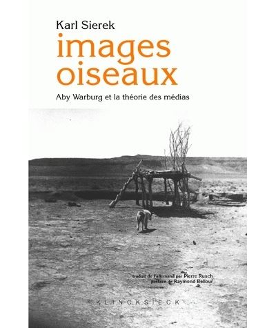 Images oiseaux