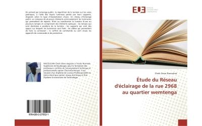 Etude du reseau d'eclairage de la rue 2968 au quartier wemte