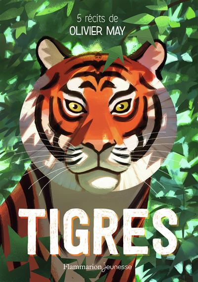 Tigres