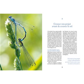 Créer une mare, un point d'eau, une baignade naturelle
