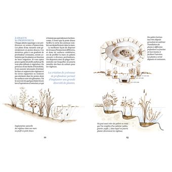 Créer une mare, un point d'eau, une baignade naturelle