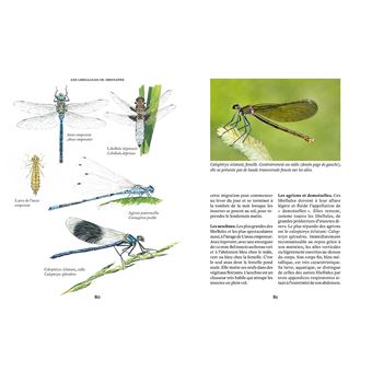 Créer une mare, un point d'eau, une baignade naturelle