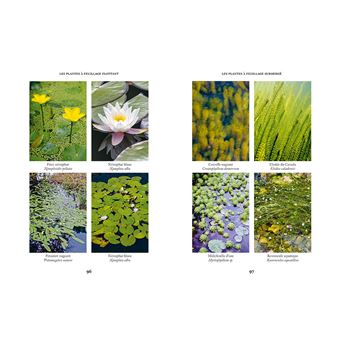 Créer une mare, un point d'eau, une baignade naturelle