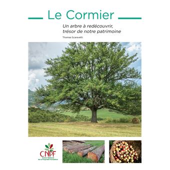 Le cormier un arbre a redecouvrir tresor de notre patrimoine