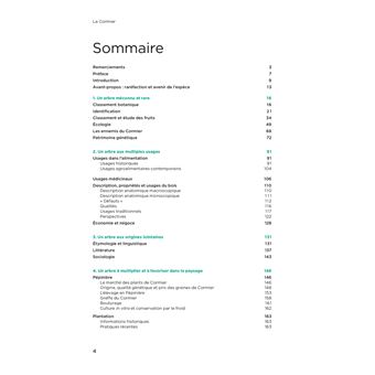 Le cormier un arbre a redecouvrir tresor de notre patrimoine