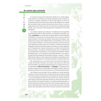 Le cormier un arbre a redecouvrir tresor de notre patrimoine