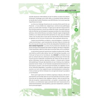 Le cormier un arbre a redecouvrir tresor de notre patrimoine