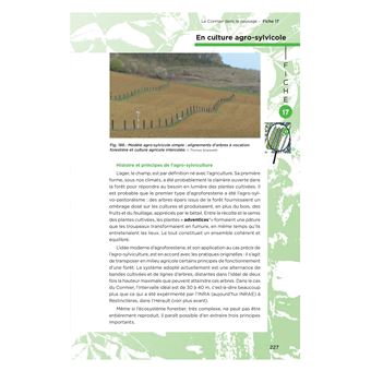 Le cormier un arbre a redecouvrir tresor de notre patrimoine